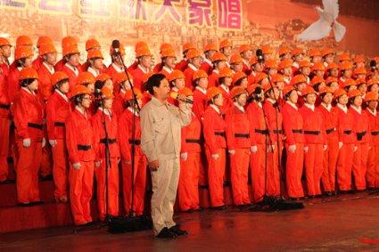 救援卷耳兔